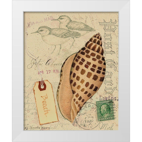 Postcard Shells I White Modern Wood Framed Art Print by Pallan, Nancy S.