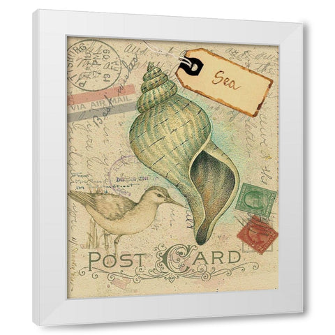 Postcard Shells II White Modern Wood Framed Art Print by Pallan, Nancy S.
