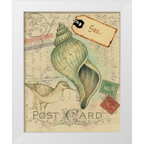 Postcard Shells II White Modern Wood Framed Art Print by Pallan, Nancy S.