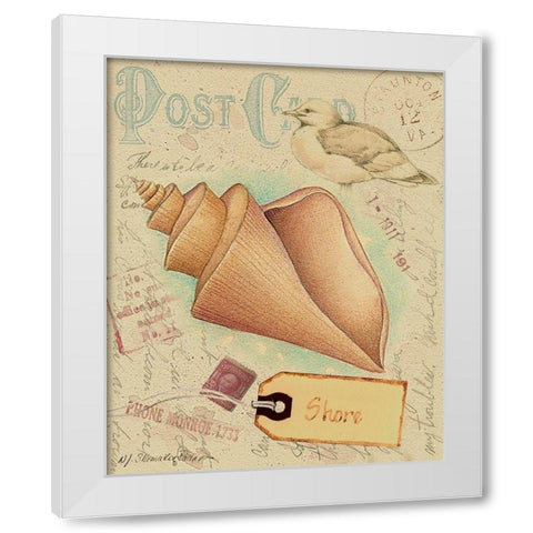 Postcard Shells III White Modern Wood Framed Art Print by Pallan, Nancy S.
