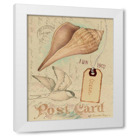 Postcard Shells IV White Modern Wood Framed Art Print by Pallan, Nancy S.