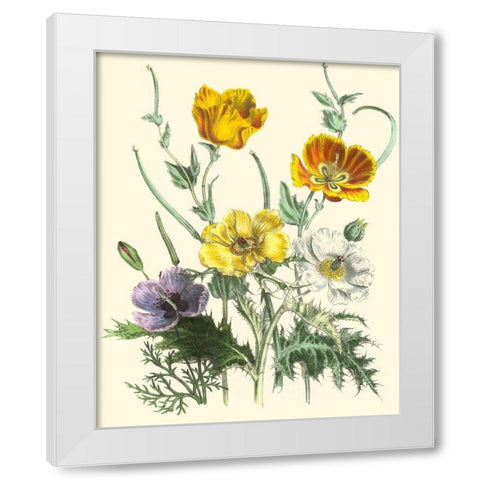 Summer Flowers II White Modern Wood Framed Art Print by Unknown