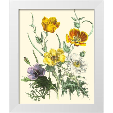 Summer Flowers II White Modern Wood Framed Art Print by Unknown