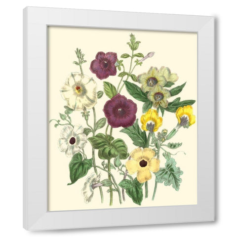 Summer Flowers IV White Modern Wood Framed Art Print by Unknown