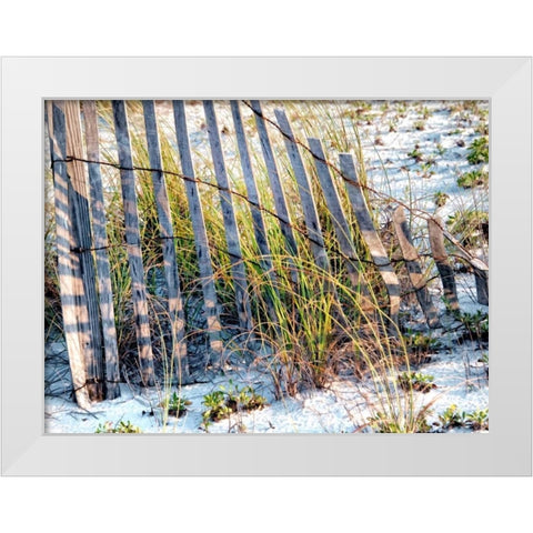Sea Oats I White Modern Wood Framed Art Print by Head, Danny