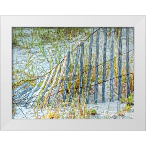Sea Oats II White Modern Wood Framed Art Print by Head, Danny