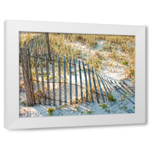 Sea Oats III White Modern Wood Framed Art Print by Head, Danny