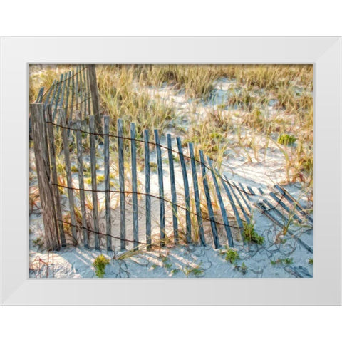 Sea Oats III White Modern Wood Framed Art Print by Head, Danny