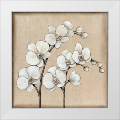 White Orchid II White Modern Wood Framed Art Print by OToole, Tim