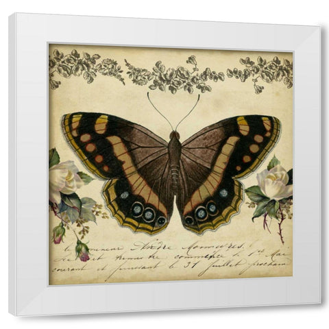 From the Rose Garden II White Modern Wood Framed Art Print by Vision Studio