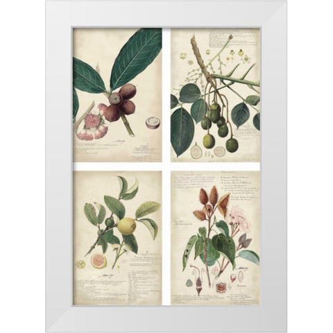 Mini Descubes White Modern Wood Framed Art Print by Descubes, A.