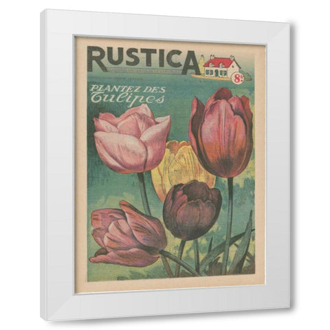 Plantez Des Tulips White Modern Wood Framed Art Print by Unknown