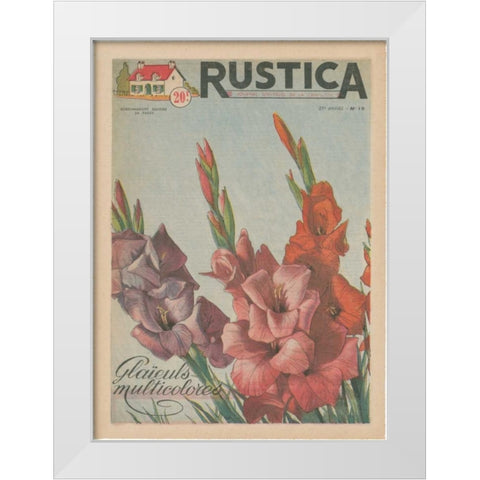 Plantez Des Glaieuls White Modern Wood Framed Art Print by Unknown