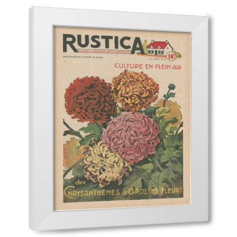 Plantez Des Chrysanthemes White Modern Wood Framed Art Print by Unknown