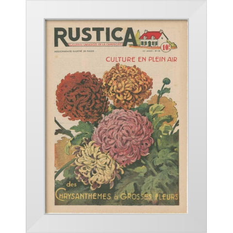Plantez Des Chrysanthemes White Modern Wood Framed Art Print by Unknown