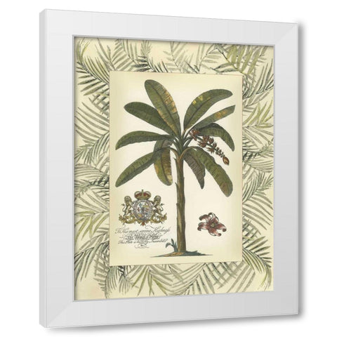 Palm in Bamboo Frame II White Modern Wood Framed Art Print by Vision Studio