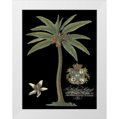 Palm on Black I White Modern Wood Framed Art Print by Unknown