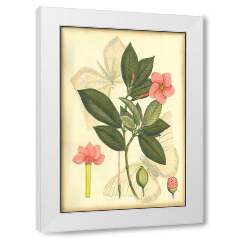 Floral Fantasia II White Modern Wood Framed Art Print by Unknown