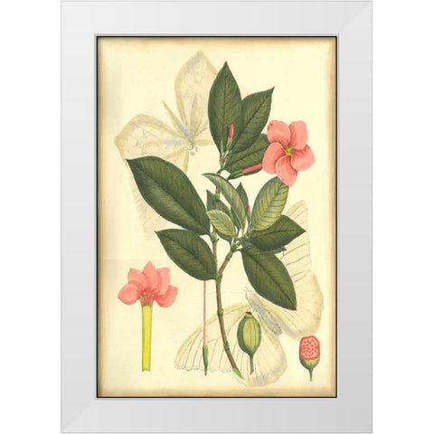 Floral Fantasia II White Modern Wood Framed Art Print by Unknown