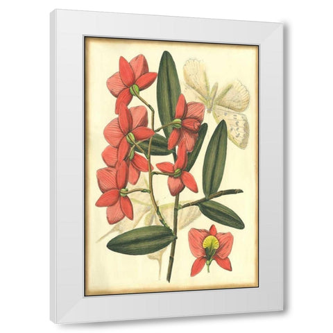 Floral Fantasia III White Modern Wood Framed Art Print by Unknown