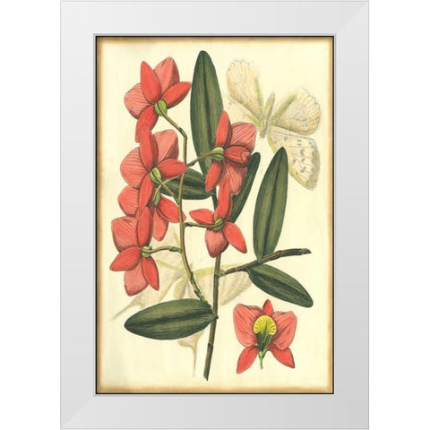 Floral Fantasia III White Modern Wood Framed Art Print by Unknown