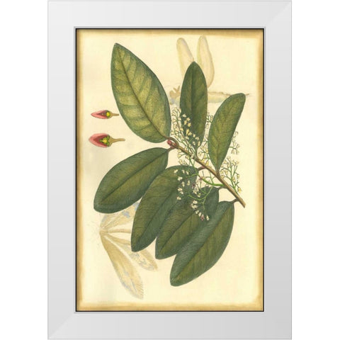 Floral Fantasia IV White Modern Wood Framed Art Print by Unknown