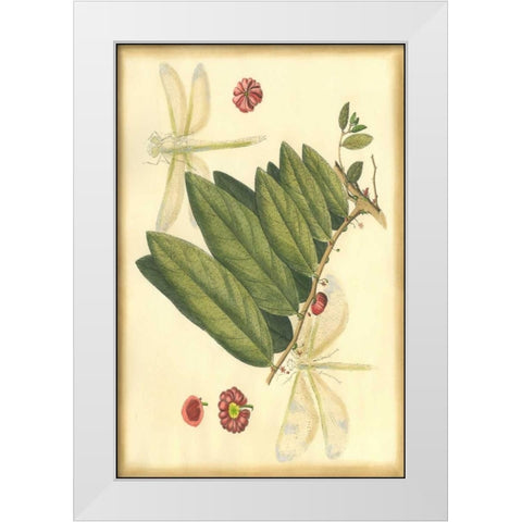 Floral Fantasia V White Modern Wood Framed Art Print by Unknown