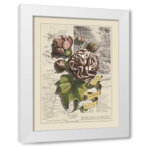 Garden in June I White Modern Wood Framed Art Print by Bookman, D.