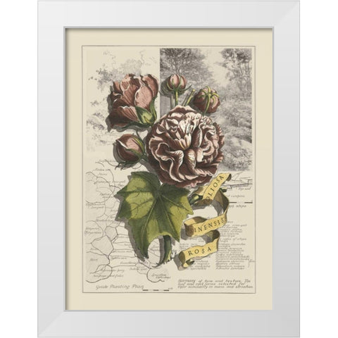 Garden in June I White Modern Wood Framed Art Print by Bookman, D.