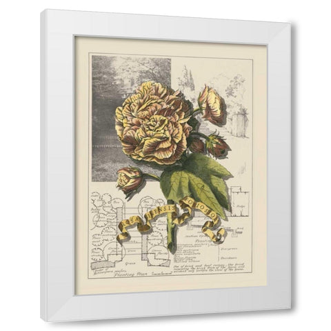 Garden in June II White Modern Wood Framed Art Print by Bookman, D.