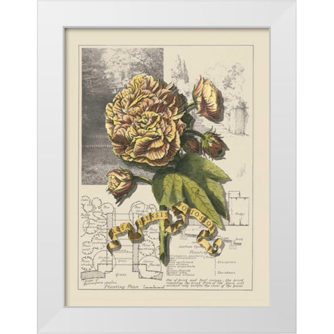 Garden in June II White Modern Wood Framed Art Print by Bookman, D.