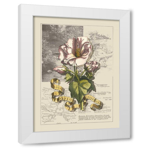 Garden in June III White Modern Wood Framed Art Print by Bookman, D.