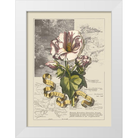 Garden in June III White Modern Wood Framed Art Print by Bookman, D.