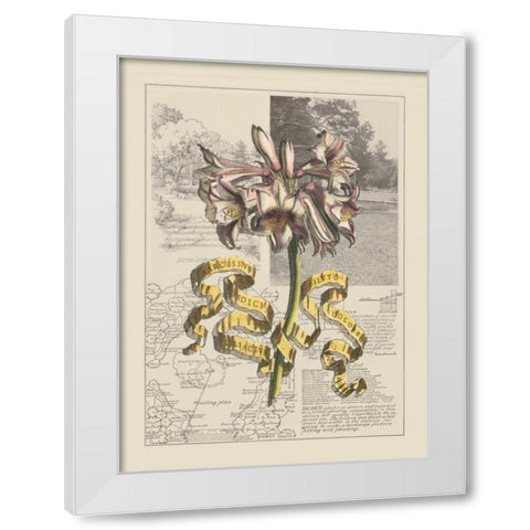 Garden in June IV White Modern Wood Framed Art Print by Bookman, D.