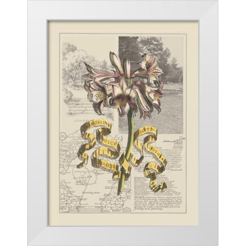 Garden in June IV White Modern Wood Framed Art Print by Bookman, D.