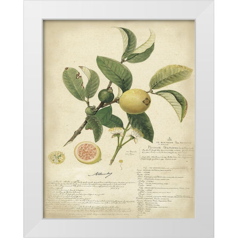 Descube Botanical I White Modern Wood Framed Art Print by Descubes, A.