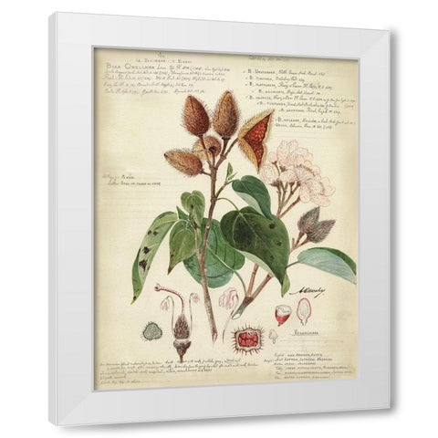 Descube Botanical V White Modern Wood Framed Art Print by Descubes, A.
