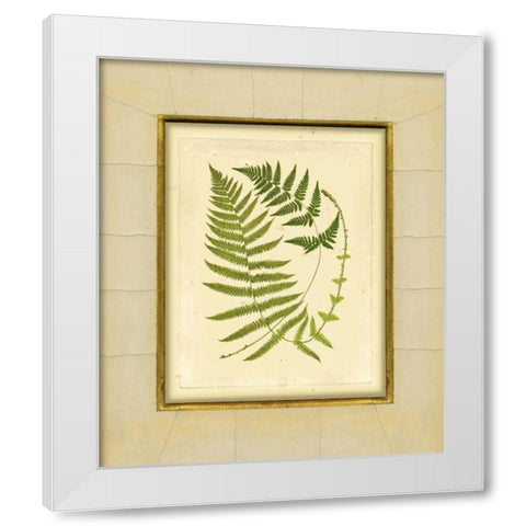 Fern with Crackle Mat III White Modern Wood Framed Art Print by Unknown