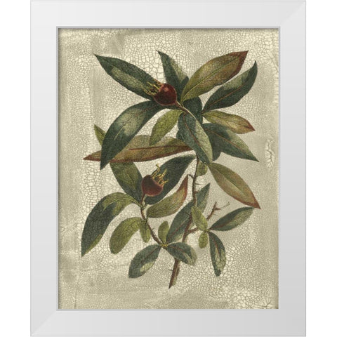 Printed Deshayes Trees III White Modern Wood Framed Art Print by Vision Studio