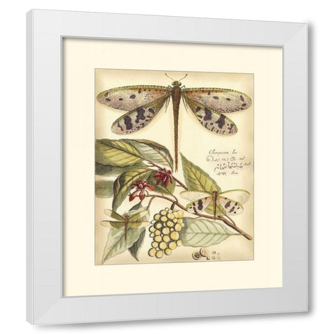 Whimsical Dragonflies I White Modern Wood Framed Art Print by Vision Studio