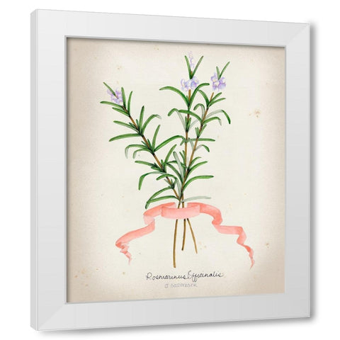 Herb Series III White Modern Wood Framed Art Print by Goldberger, Jennifer