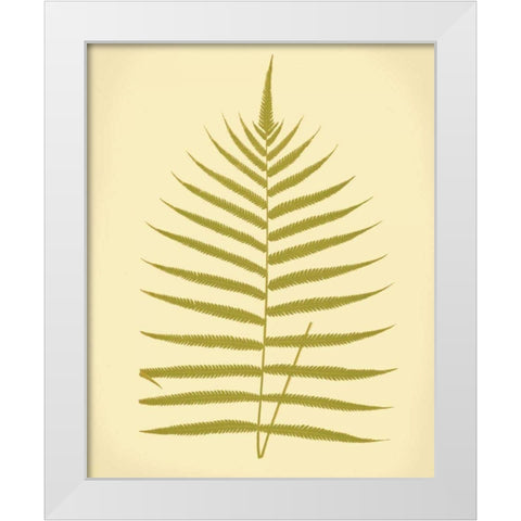 Lowes Fern IV White Modern Wood Framed Art Print by Lowe, E.J.