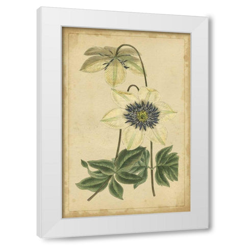 Curtis Blooms in White I White Modern Wood Framed Art Print by Unknown
