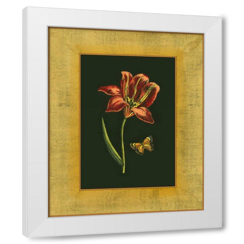 Tulip in Frame II White Modern Wood Framed Art Print by Unknown
