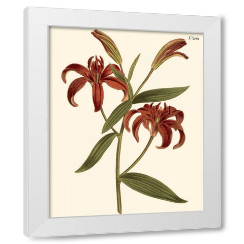 Fiery Florals I White Modern Wood Framed Art Print by Curtis