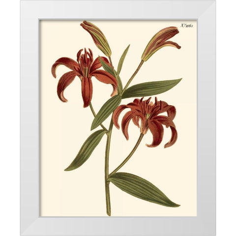 Fiery Florals I White Modern Wood Framed Art Print by Curtis