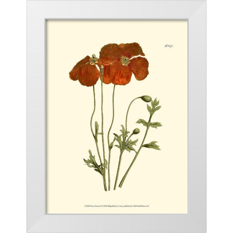 Fiery Florals II White Modern Wood Framed Art Print by Curtis