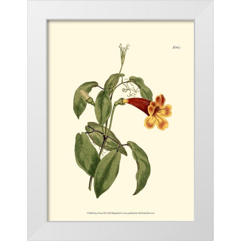 Fiery Florals III White Modern Wood Framed Art Print by Curtis