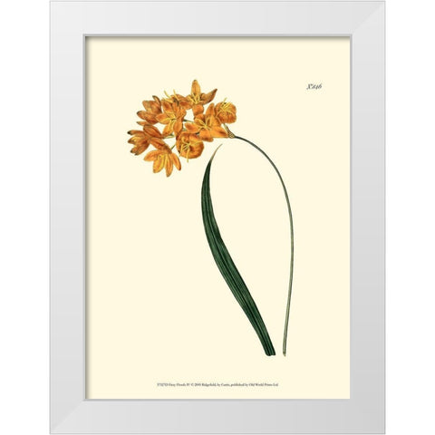 Fiery Florals IV White Modern Wood Framed Art Print by Curtis