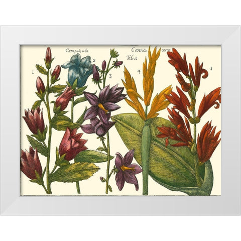 Printed Arena Botanical III White Modern Wood Framed Art Print by Vision Studio